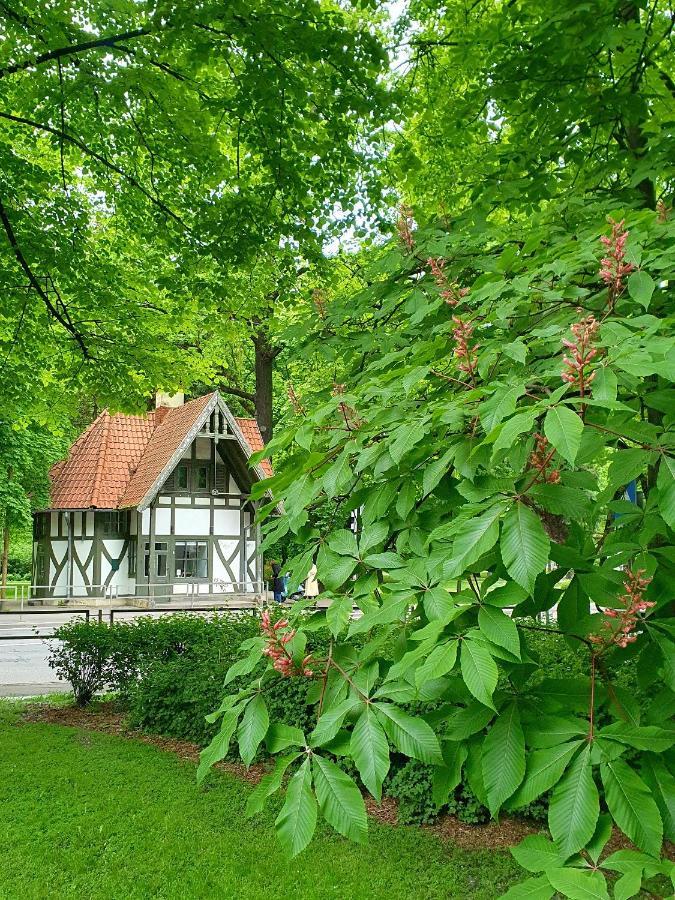 Appartement 2stavu Parka Namins Viesturdarza Perlu Medniekiem! Riga